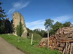 Vestiges du Donjon du château fort de Chateau-Chalon (IXe, XIIIe et XVe siècle)
