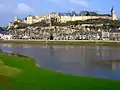 La ville de Chinon.