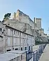Château de Beaucaire vu depuis la digue de la Banquette.