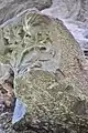 Détail des chapiteaux sculptés