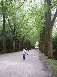 La grande allée d'honneur