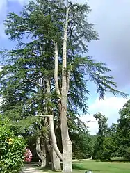 Le parc