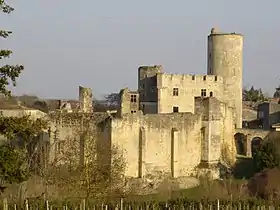 Image illustrative de l’article Liste des seigneurs, comtes et ducs de Rauzan