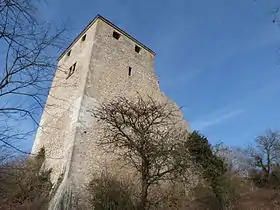 Château de Saint-Denis-en-Bugey.