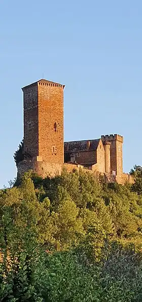 Image illustrative de l’article Château des Tours-Saint-Laurent