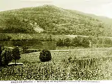 Le vignoble de Chénas au début du XXe&nbsp;siècle.