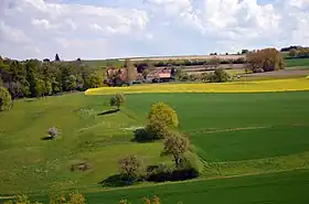 Chêne-Pâquier