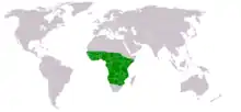 Nectarinia senegalensis
