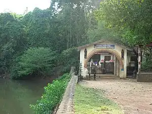 Kavu Chama