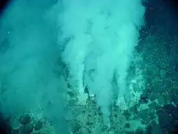 Sources hydrothermales : c'est à proximité de ces "fumeurs blancs" que se seraient développés les premiers microorganismes unicellulaires,