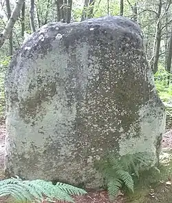 Image illustrative de l’article Menhir des Buttes Noires