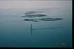 Après l'ouragan Georges (1989)