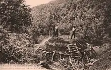 Charbonniers dans la montagne de Lure au début du XXe siècle