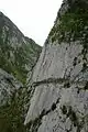Chemin de la Mâture