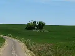 La Pierre Folle