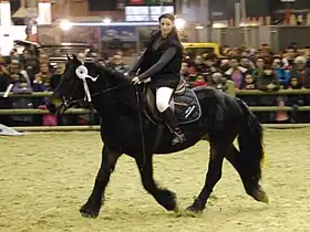 Castillonnais