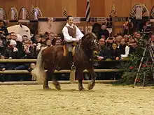 Photographie d'un cavalier et de son cheval, en tenue de spectacle devant un public