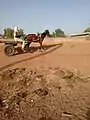 Cheval.