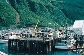 Chignik (Alaska)