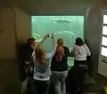 Une vue sur les poissons passant l'échelle.
