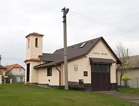 Chlustina