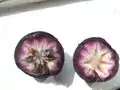 Coupe perpendiculaire d'une pomme de lait (variété violette)