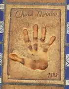 Chuck Norris