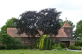Neuschoo