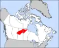 Grand nord canadien