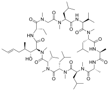 Ciclosporine A, peptide cyclique homodétique produite par certains champignons, utilisé comme agent immunosuppresseur