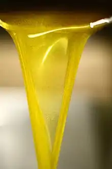 L'or du Cilento