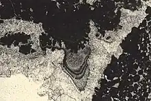 Ciment stalactite au toit d'un « keystone vug » typique de la diagenèse en milieu vadose, au sommet d'un cycle émersif L = 0,3&nbsp;mm.