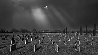 Cimitero austro-ungarico di Verona&nbsp;(it). Février 2022