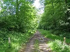 Circuit d'Avesnes.