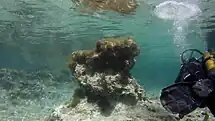 Retour à Susie's Pool