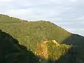 Ruines de la citadelle de Poenari