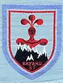 Insigne du CJF 37 (2e&nbsp;modèle - manque le 1er&nbsp;modèle).