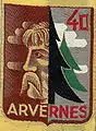 Insigne du CJF 40 (2e&nbsp;modèle).