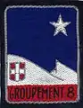 Insigne du CJF 8 (2e&nbsp;modèle).