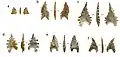 Pointes de Maros classiques avec retrait basal et marges denticulées.