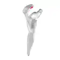Vue de dessus médiale : facette articulaire claviculaire de la scapula représentée en rouge.