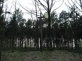 Kałduny (Łódź)