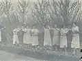Arboriculture.