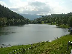 Replat au niveau de l'étang de Goulours.