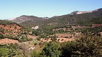 Collines métallifères vues de Campiglia Marittima