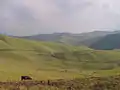 Collines de Gishwati.