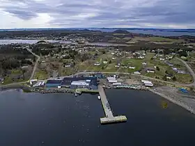 Comfort Cove-Newstead