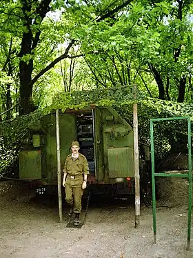 Poliana-D4