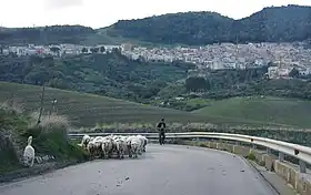 Contessa Entellina