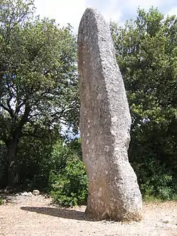La Pierre plantée à Lussan.